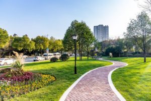 commercial landscape featured