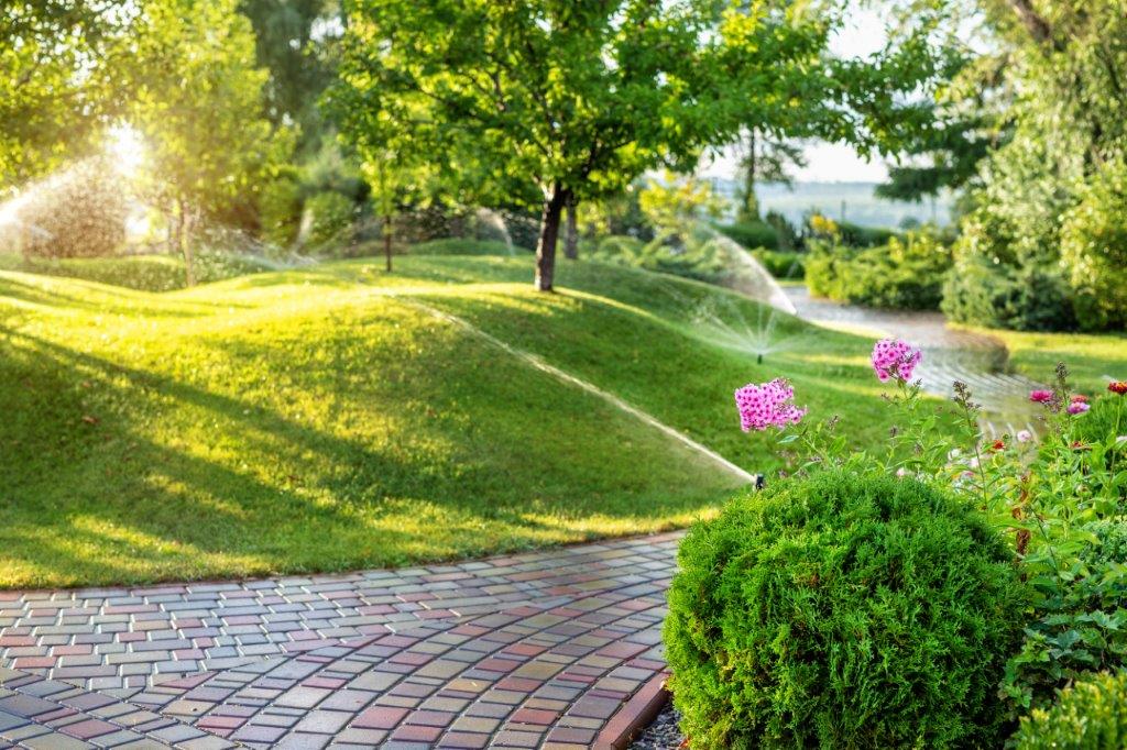 improve your lawn care