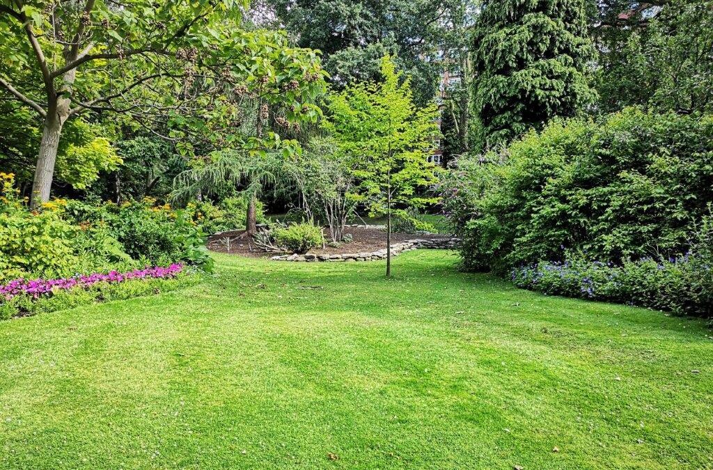 seven tips for beautiful yard