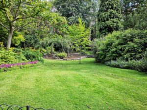 seven tips for beautiful yard