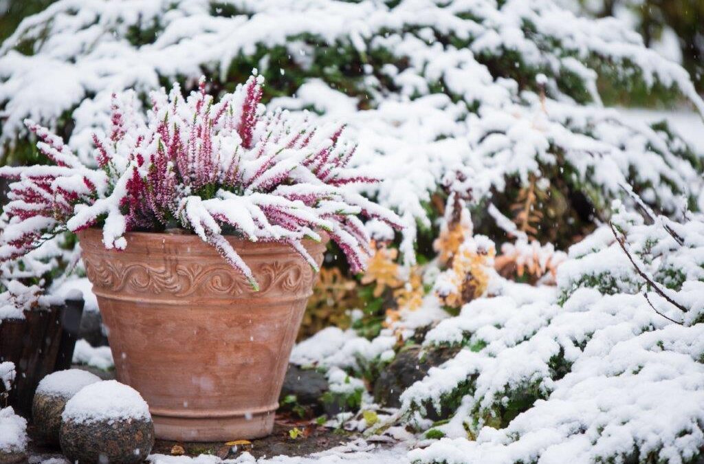 5 Easy Ways to Prepare Your Flower Beds for Winter